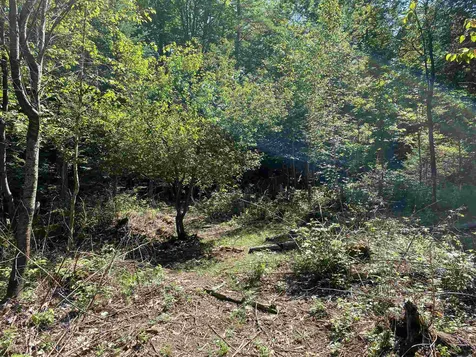 461 Farr Hill Road Littleton NH 03561