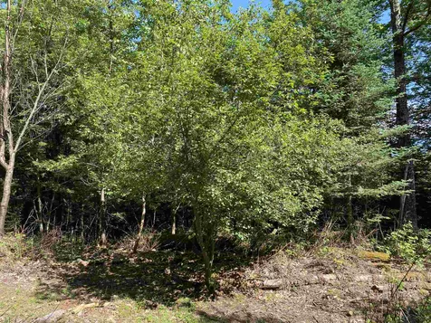 461 Farr Hill Road Littleton NH 03561