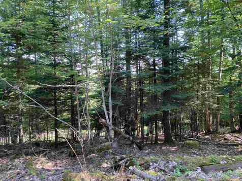 461 Farr Hill Road Littleton NH 03561