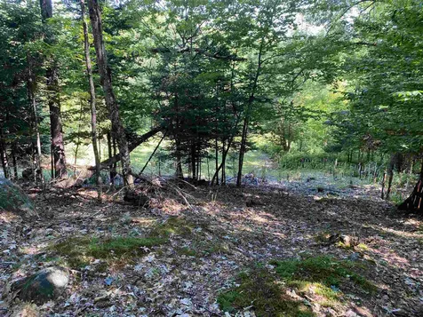 461 Farr Hill Road Littleton NH 03561