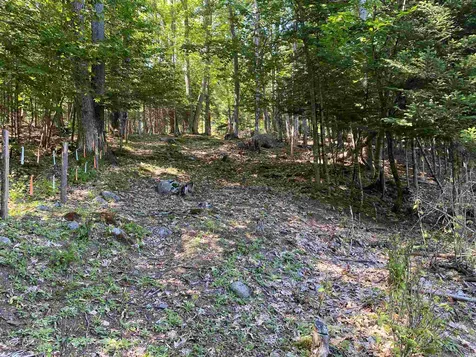 461 Farr Hill Road Littleton NH 03561