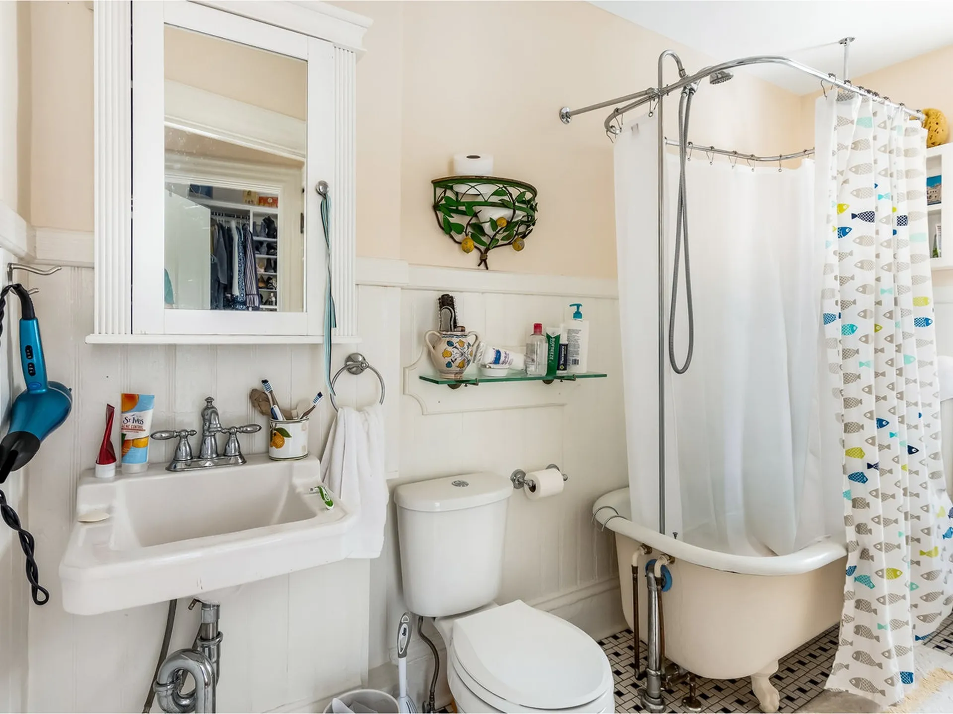 103 North Willard Street Burlington VT 05401