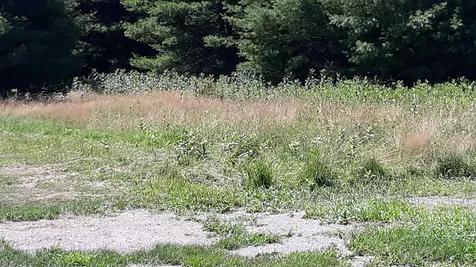 110 Paper Road Littleton NH 03561