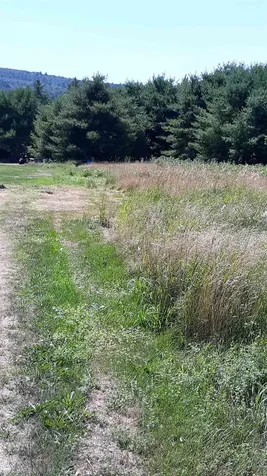110 Paper Road Littleton NH 03561