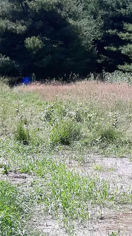 110 Paper Road Littleton NH 03561