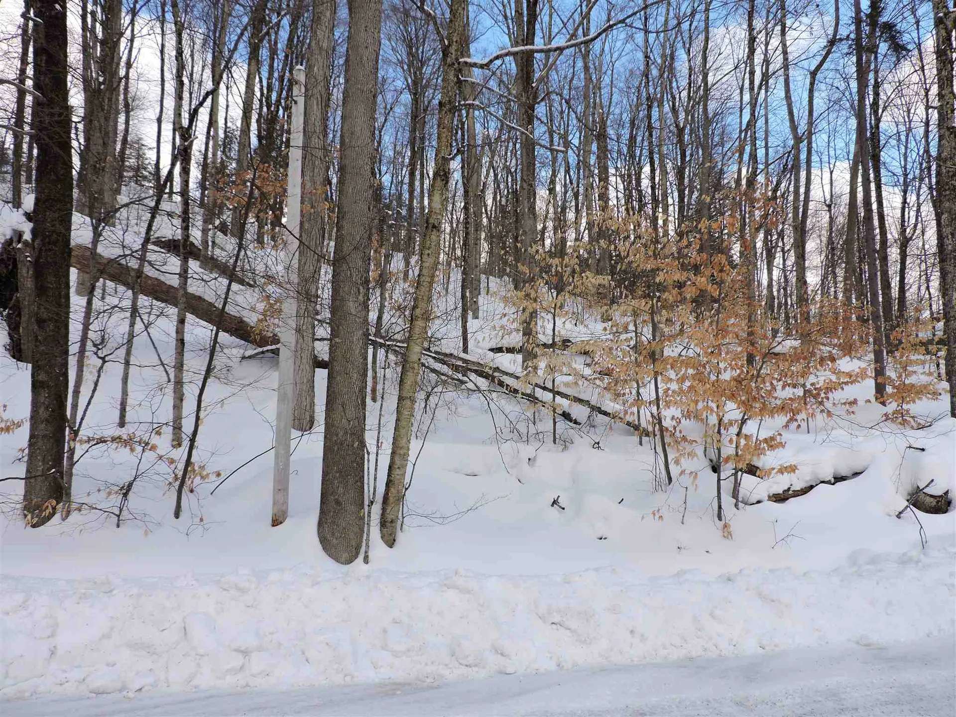 0 Dean Hill Road Killington VT 05751