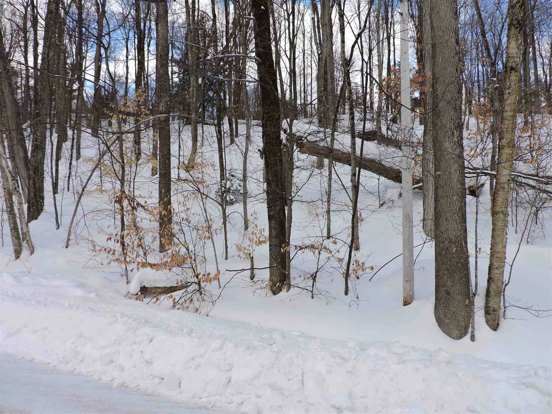 0 Dean Hill Road Killington VT 05751