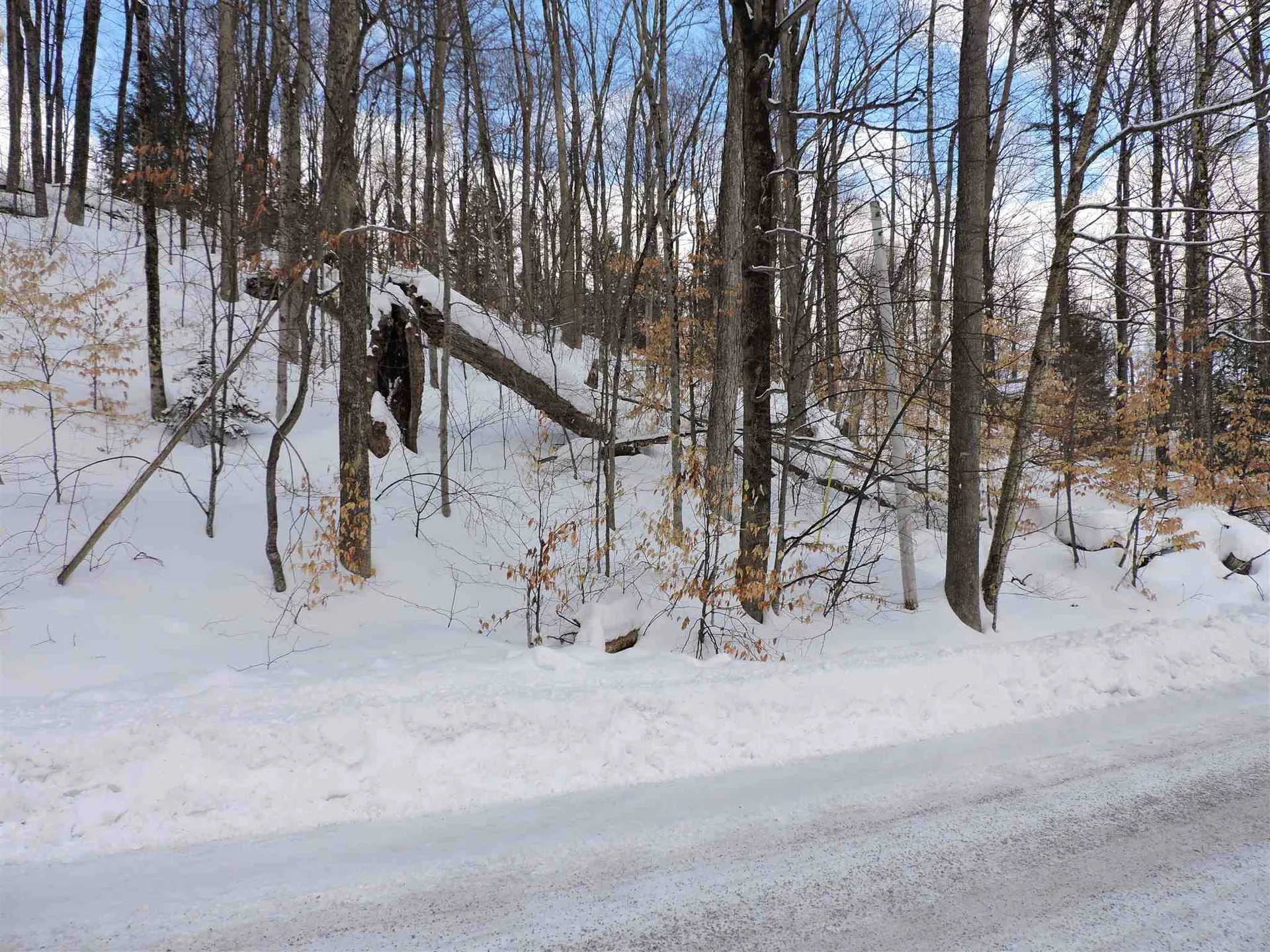 0 Dean Hill Road Killington VT 05751