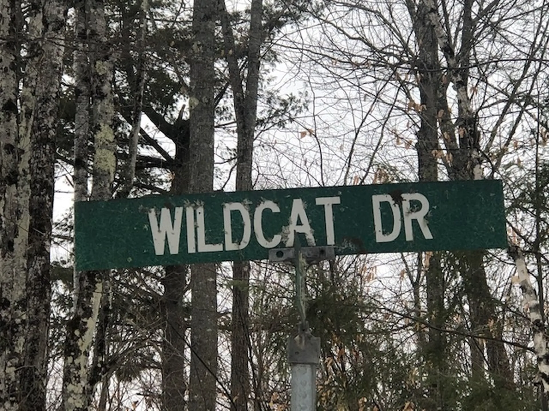 Wildcat Drive Haverhill NH 03785
