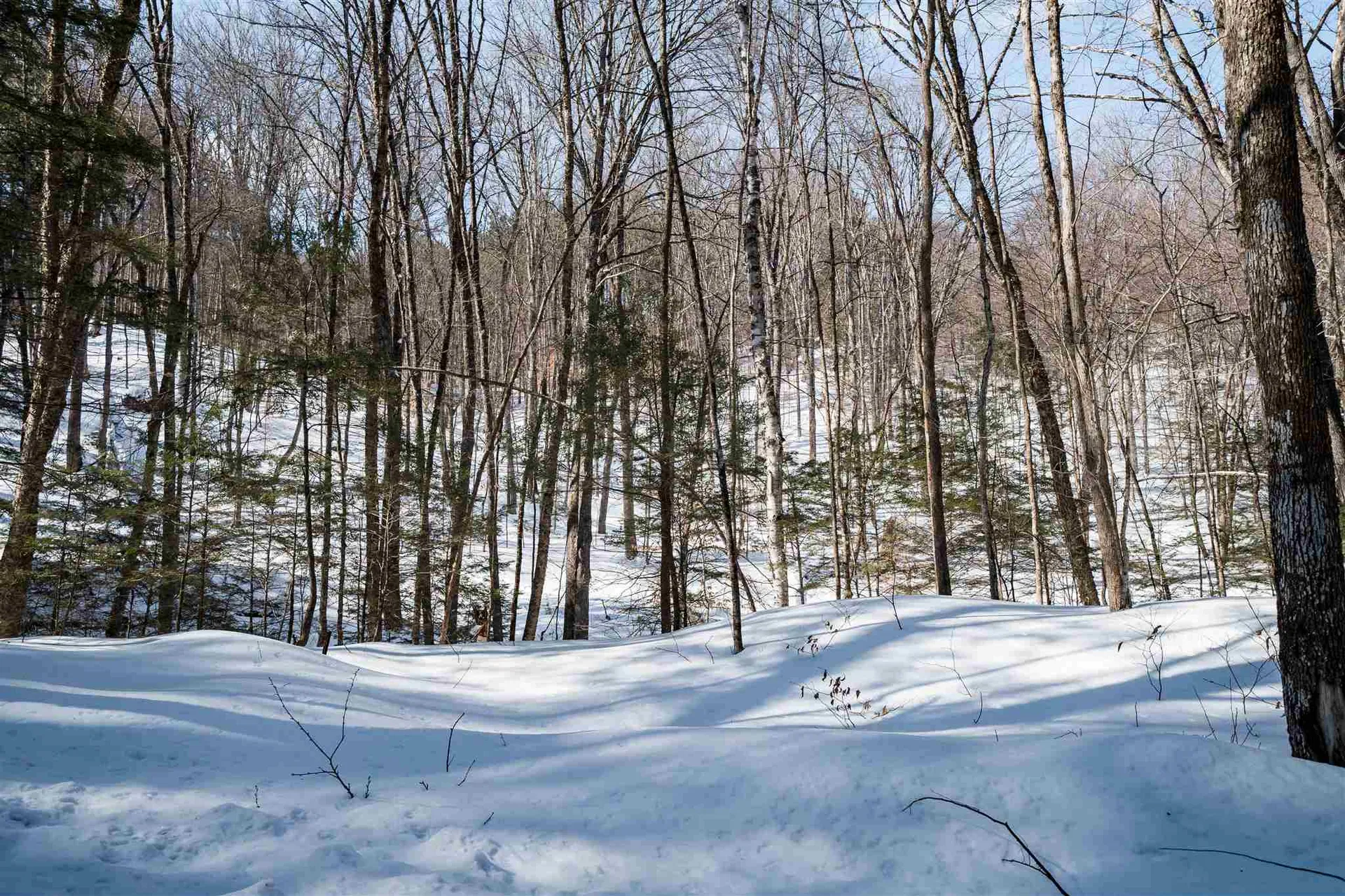 00-A Starbuck Road Pomfret VT 05053