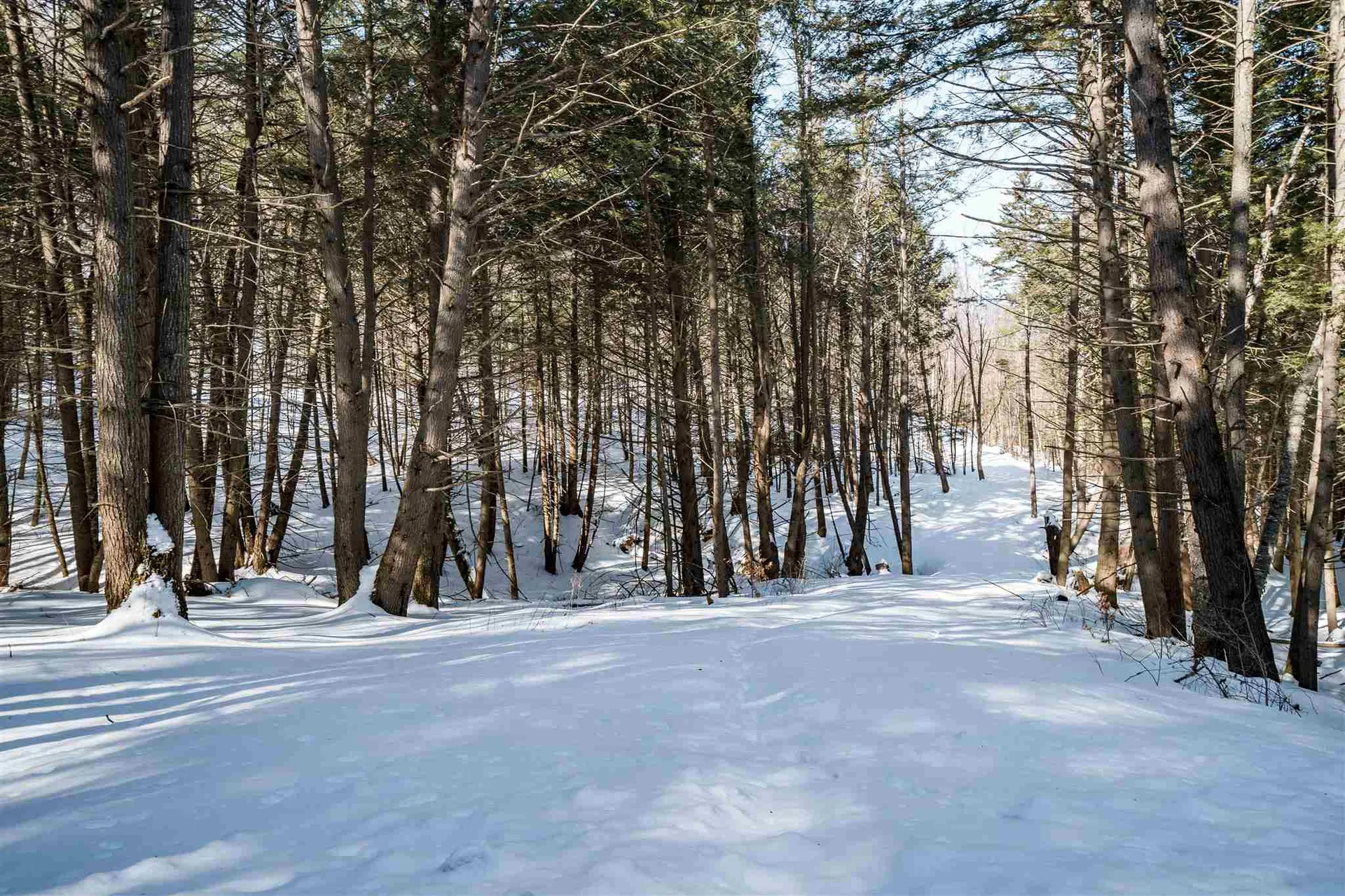 00-A Starbuck Road Pomfret VT 05053