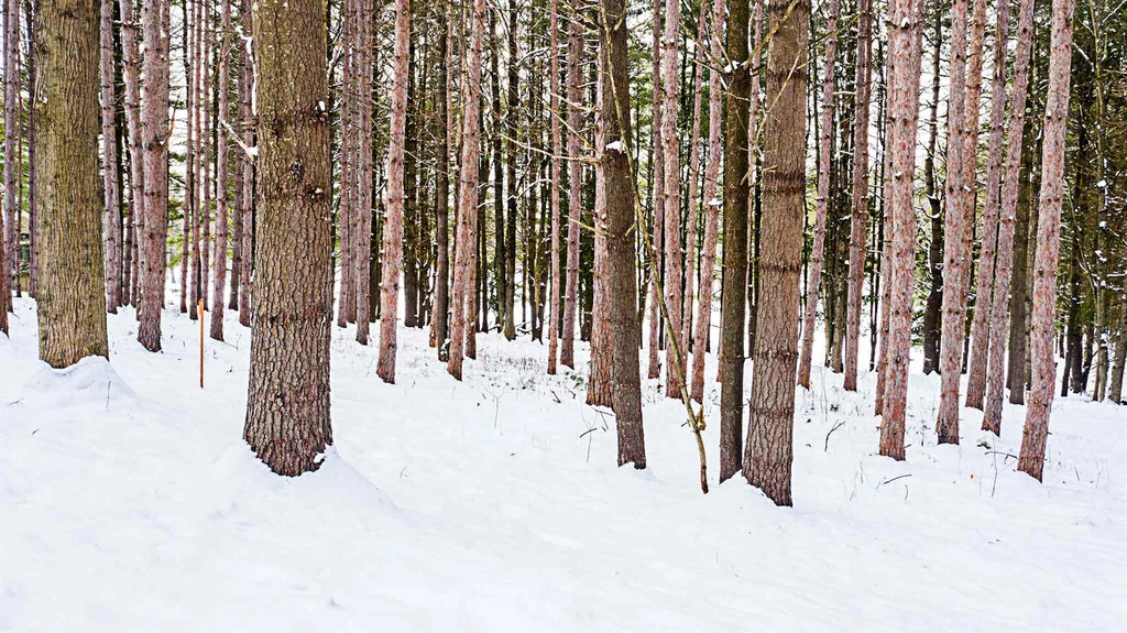 30 Hemlock Lane Shelburne VT 05482