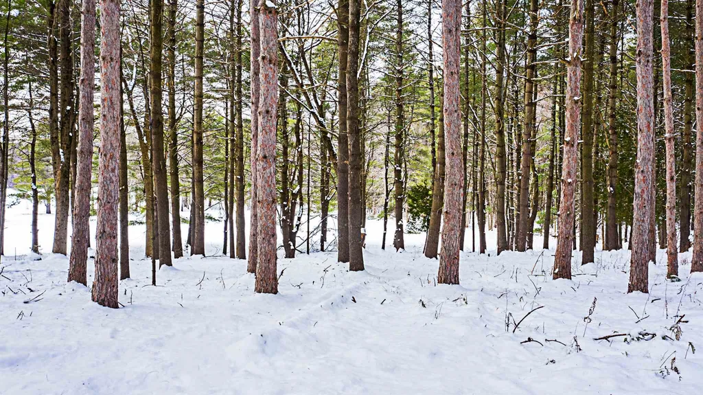 30 Hemlock Lane Shelburne VT 05482