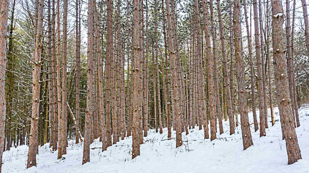 30 Hemlock Lane Shelburne VT 05482