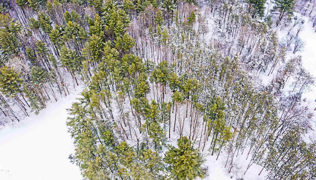 30 Hemlock Lane Shelburne VT 05482