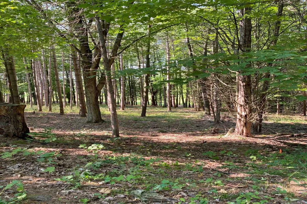 30 Hemlock Lane Shelburne VT 05482