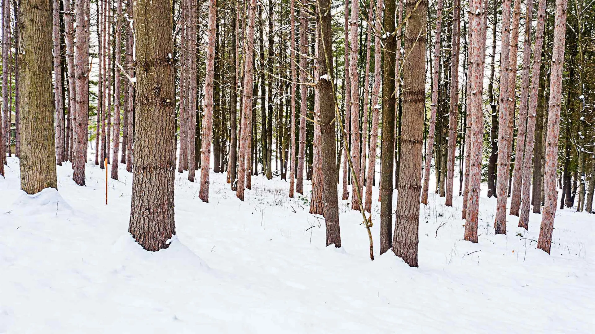 30 Hemlock Lane Shelburne VT 05482