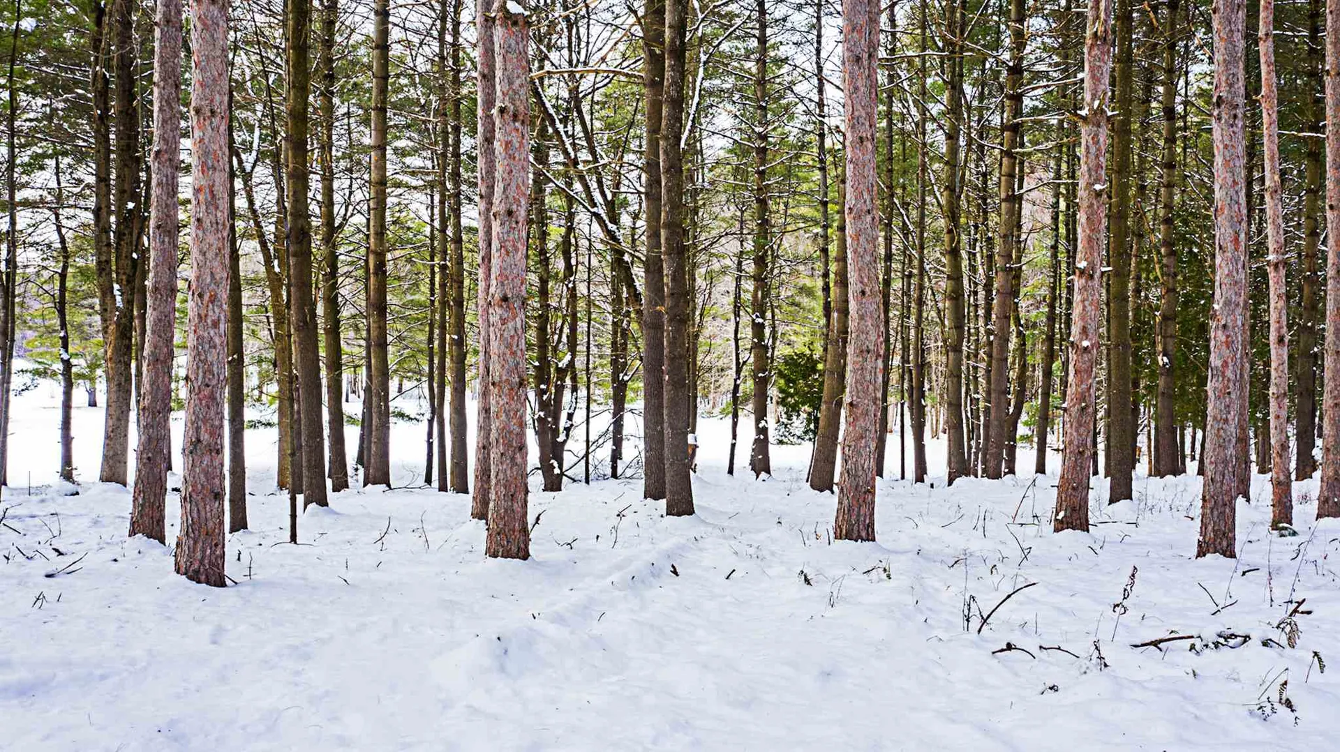 30 Hemlock Lane Shelburne VT 05482