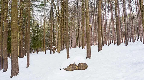 30 Hemlock Lane Shelburne VT 05482
