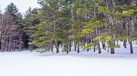 30 Hemlock Lane Shelburne VT 05482