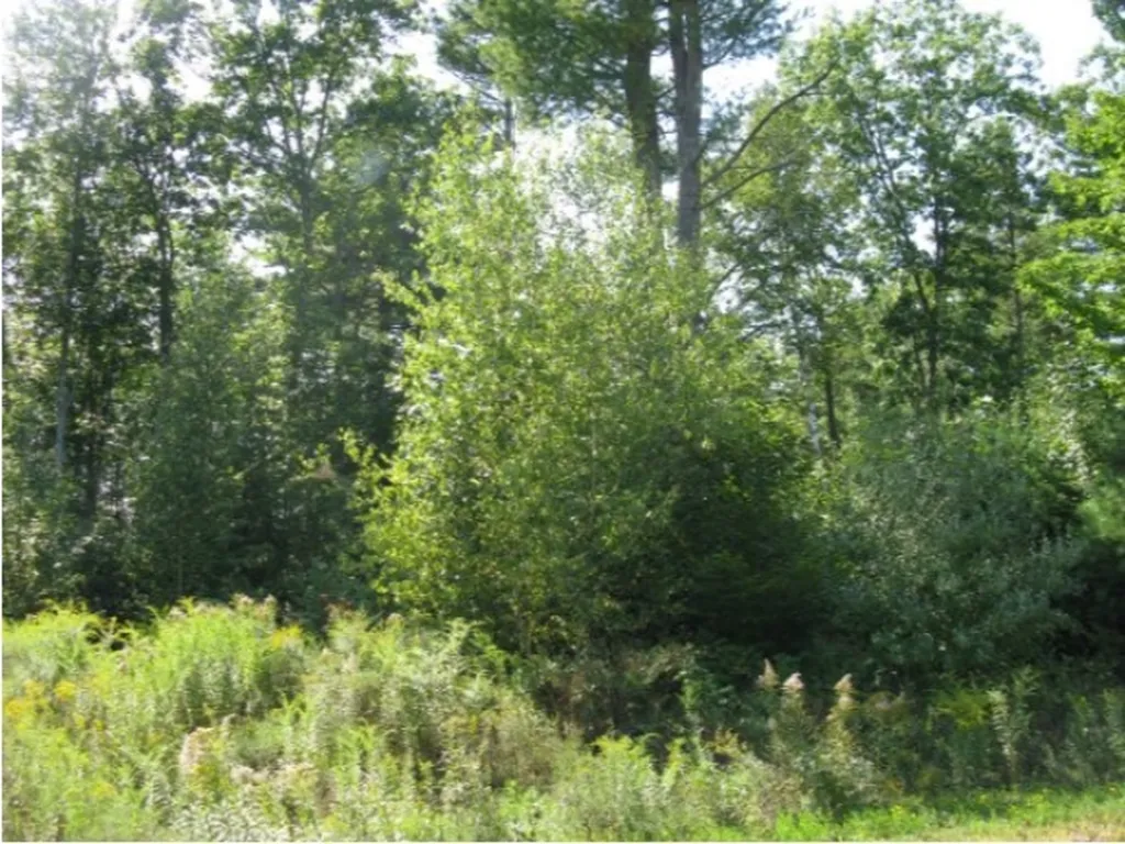 242 Turner Way Laconia NH 03246