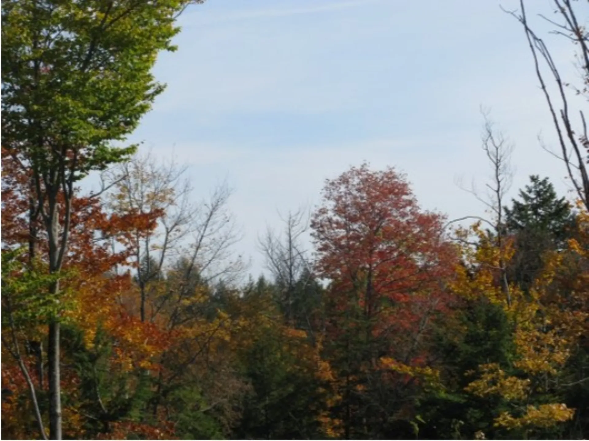 242 Turner Way Laconia NH 03246
