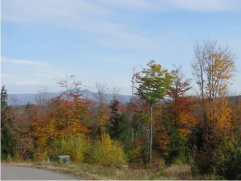 242 Turner Way Laconia NH 03246