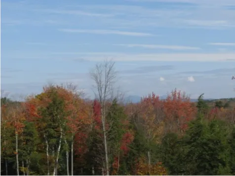 242 Turner Way Laconia NH 03246