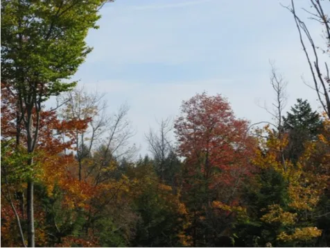 242 Turner Way Laconia NH 03246