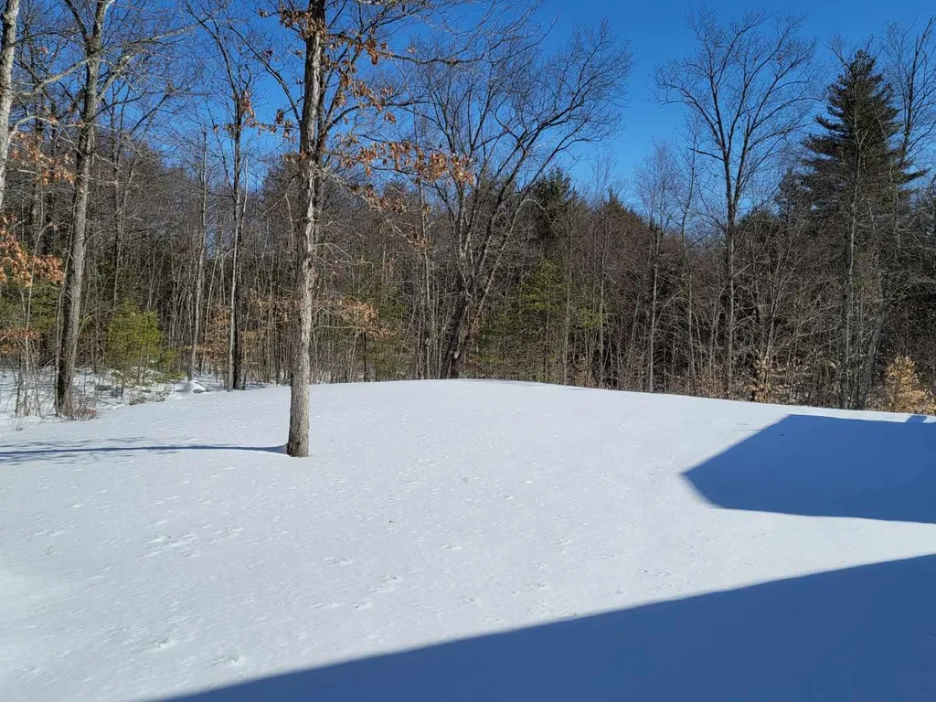 32 Tanglewood Drive Auburn NH 03032
