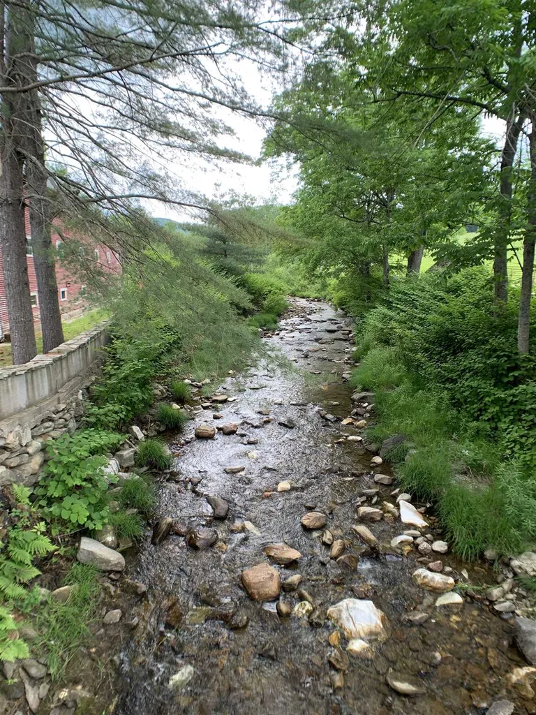 816 Popple Dungeon Road Chester VT 05143