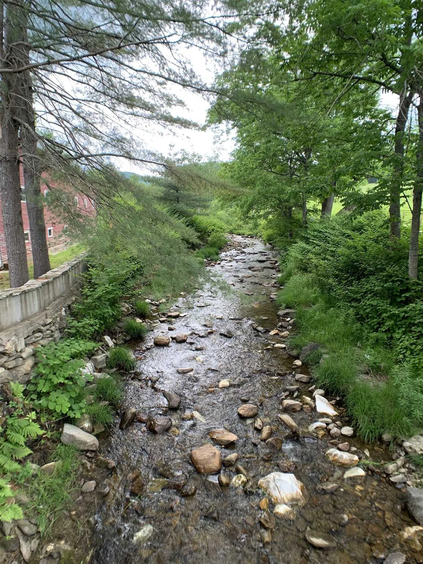816 Popple Dungeon Road Chester VT 05143