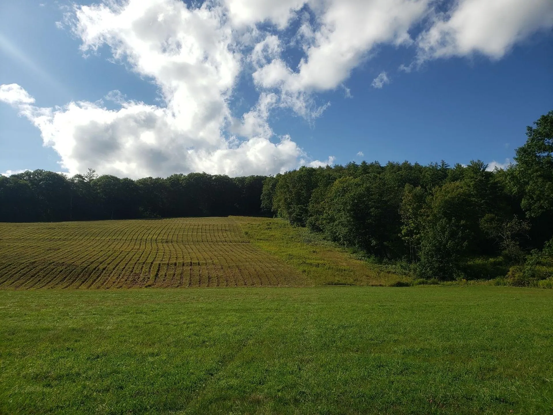 816 Popple Dungeon Road Chester VT 05143