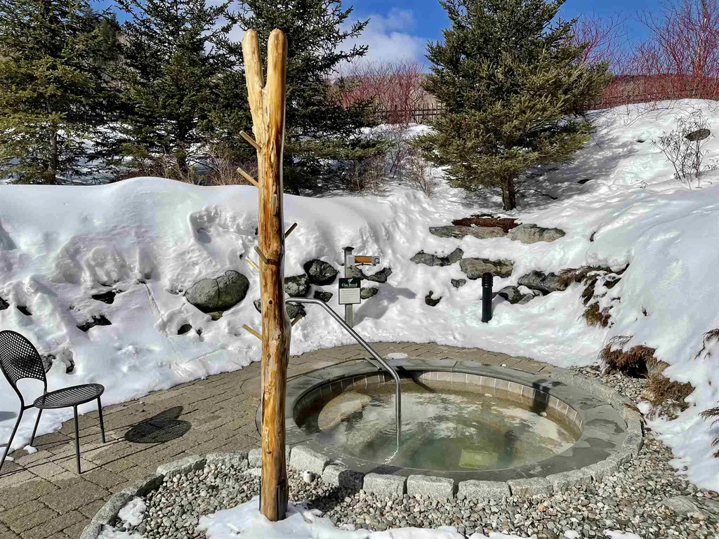 102 Forest 231 / Iii Drive Warren VT 05674