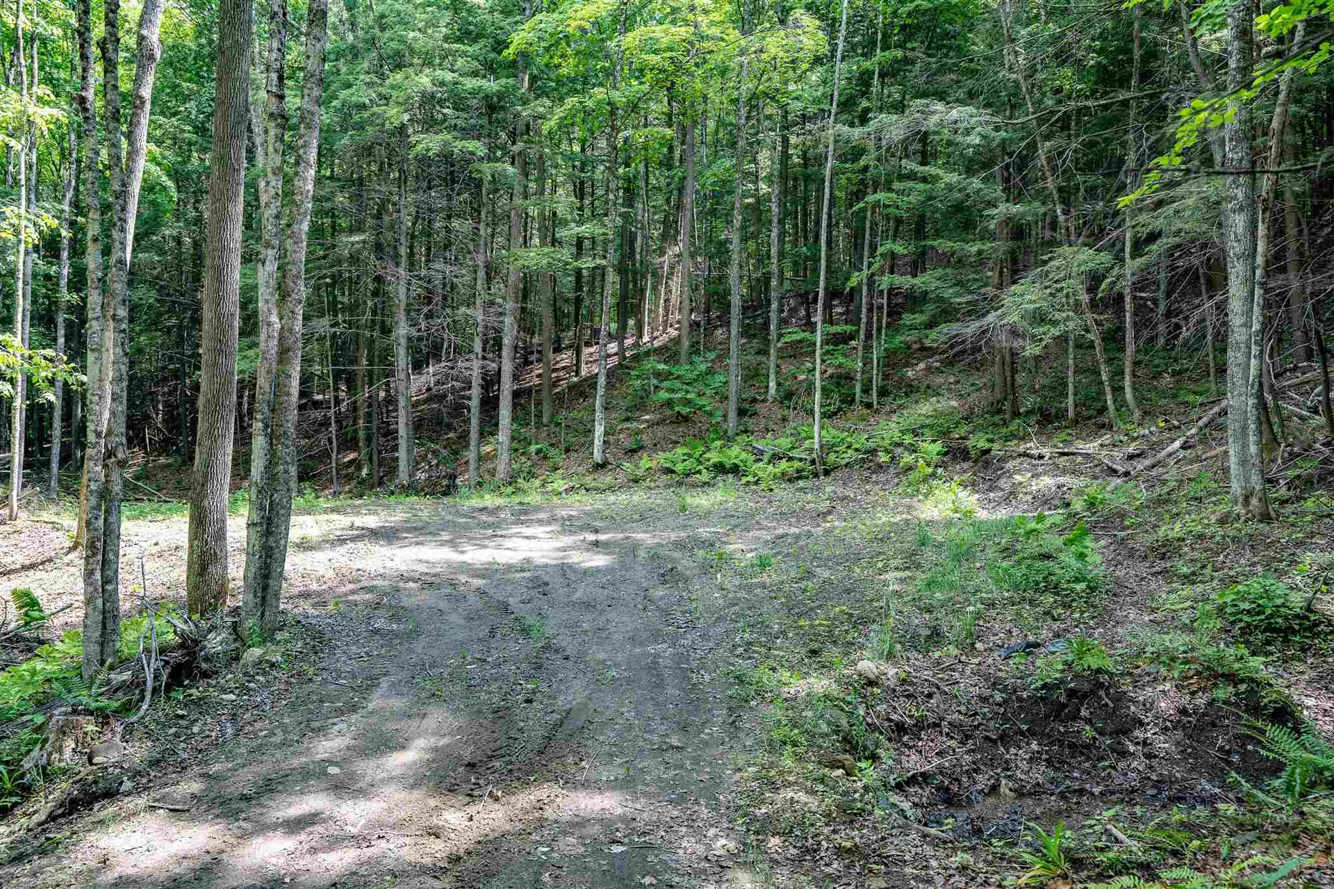 00 Starbuck Road Pomfret VT 05053