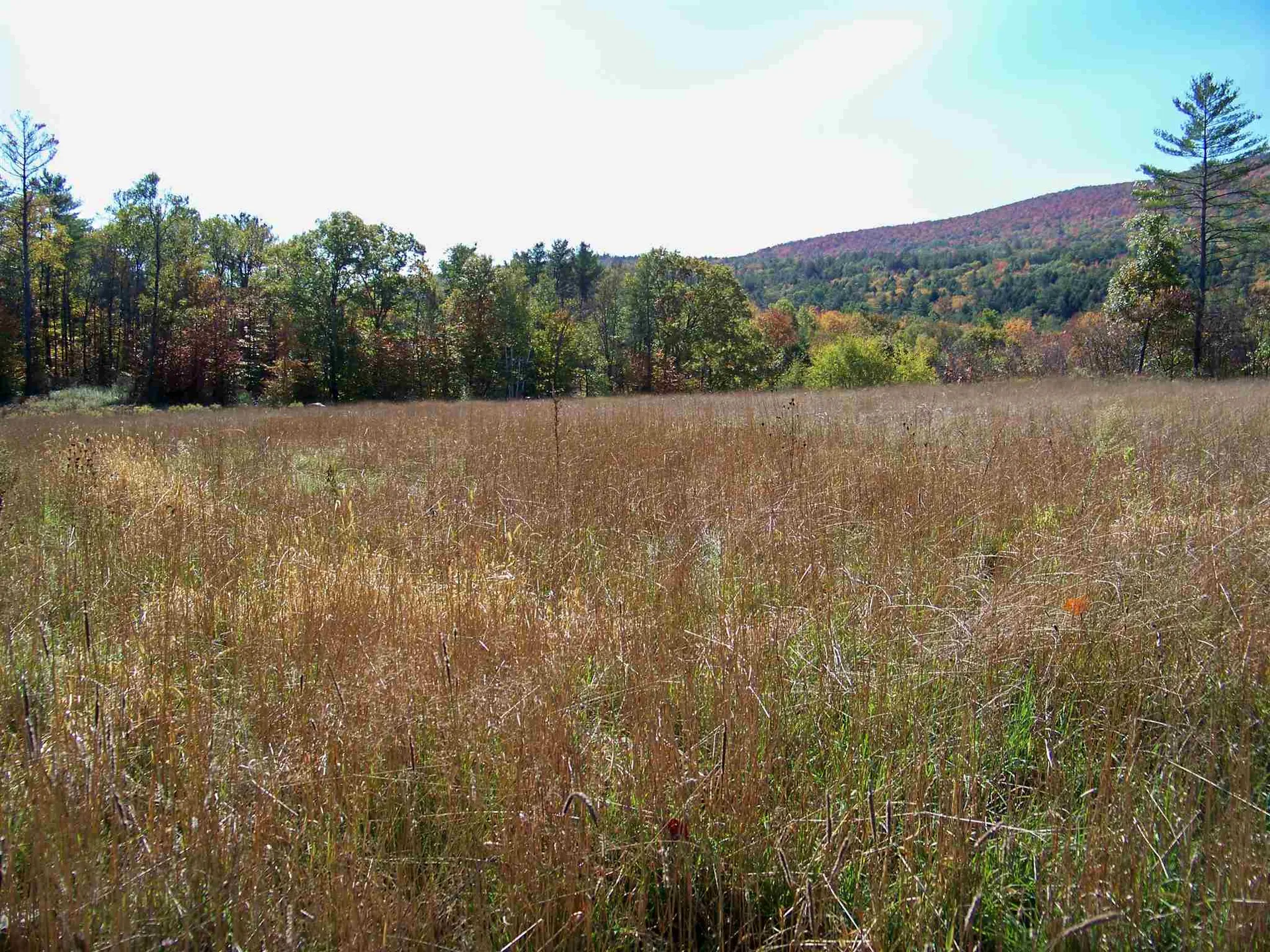 804 Shaker Hill Road Enfield NH 03748