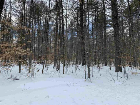 Lot 20 Round Pond Road Freedom NH 03836