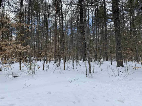Lot 20 Round Pond Road Freedom NH 03836