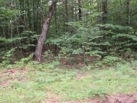 Lot 20 Round Pond Road Freedom NH 03836