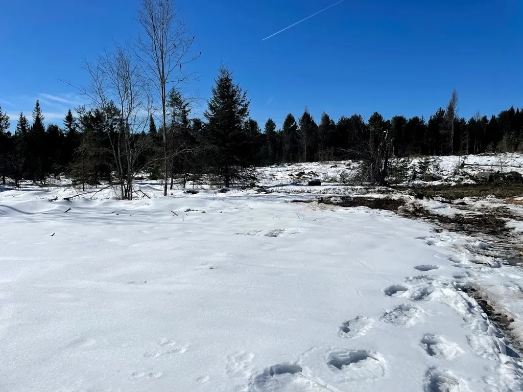 1001 Wallace Hill Road Newbury VT 05081