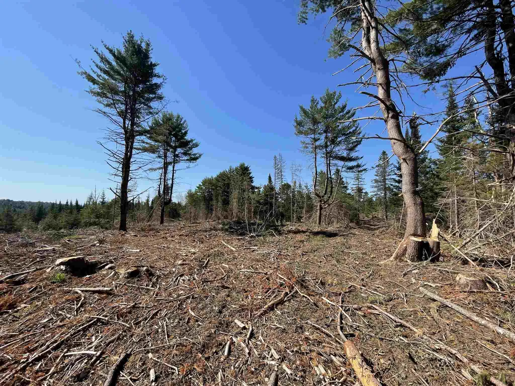 1001 Wallace Hill Road Newbury VT 05081