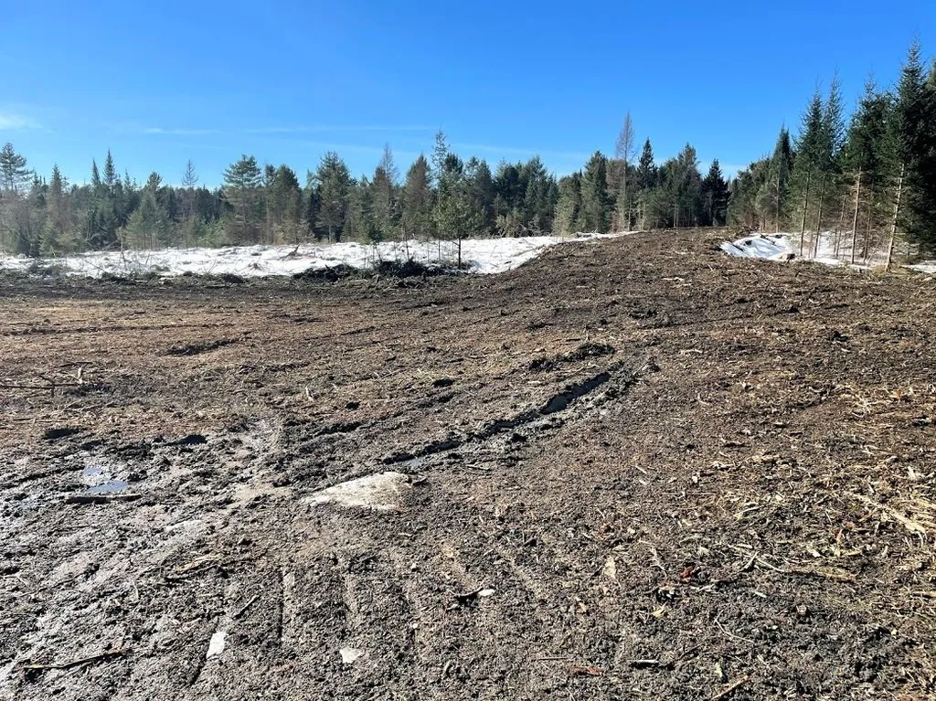 1001 Wallace Hill Road Newbury VT 05081
