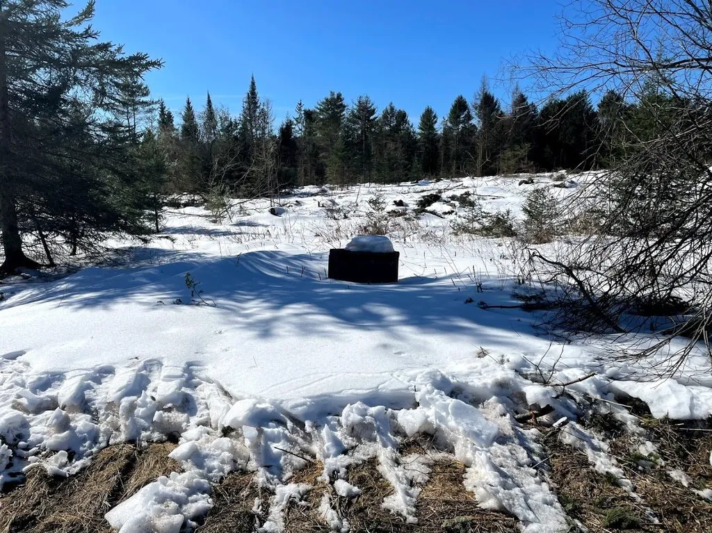 1001 Wallace Hill Road Newbury VT 05081