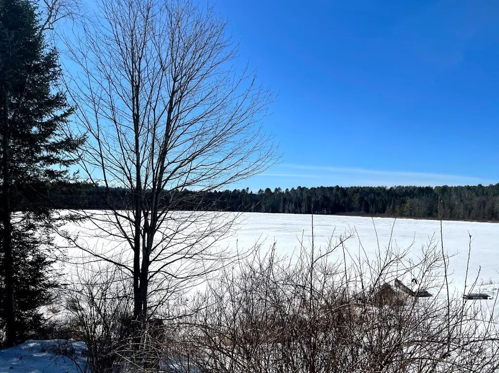 1001 Wallace Hill Road Newbury VT 05081