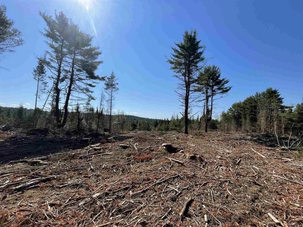 1001 Wallace Hill Road Newbury VT 05081