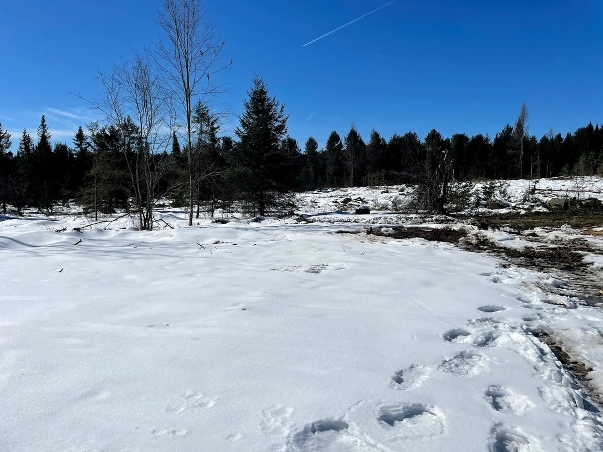 1001 Wallace Hill Road Newbury VT 05081