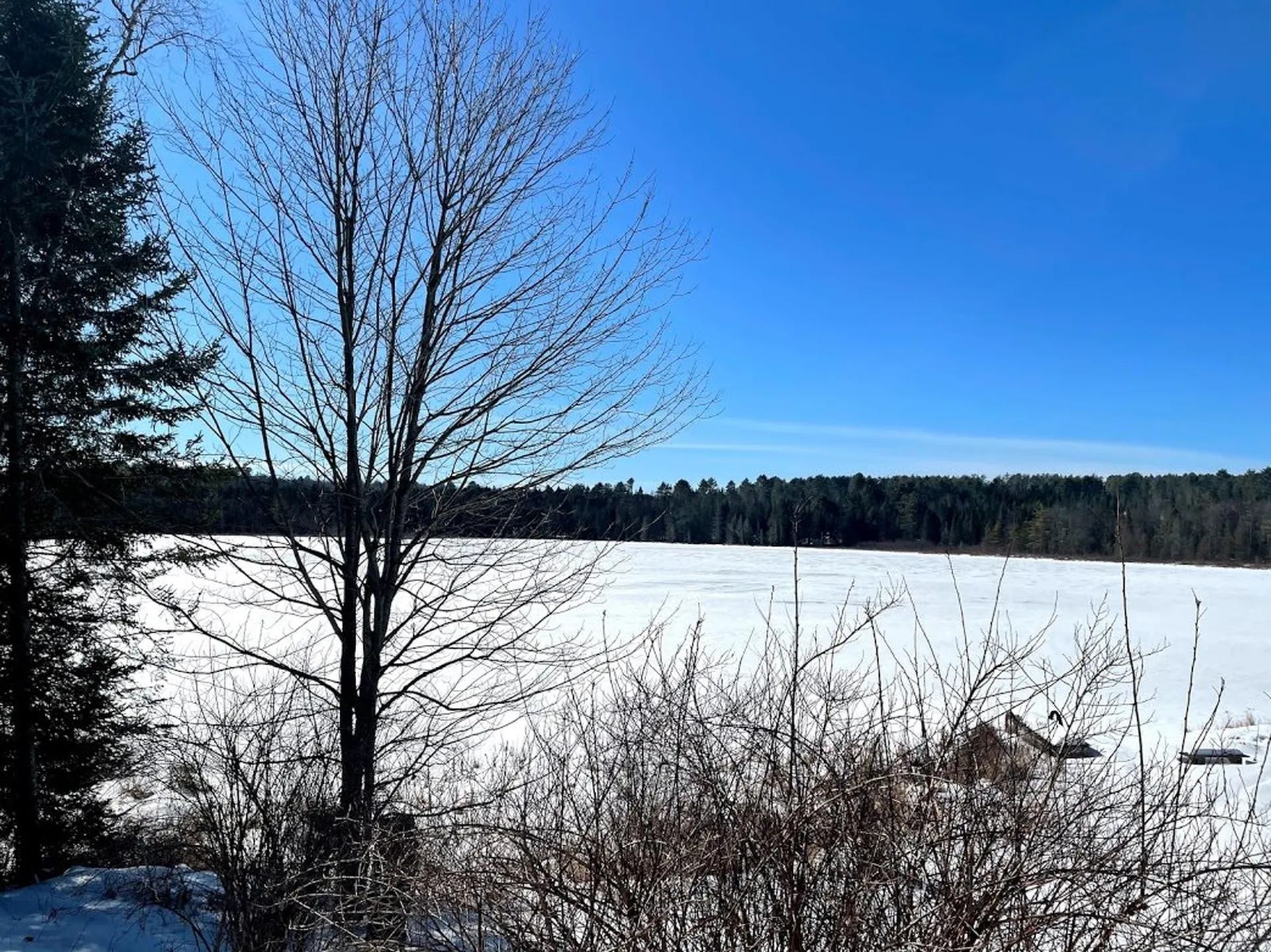 1001 Wallace Hill Road Newbury VT 05081