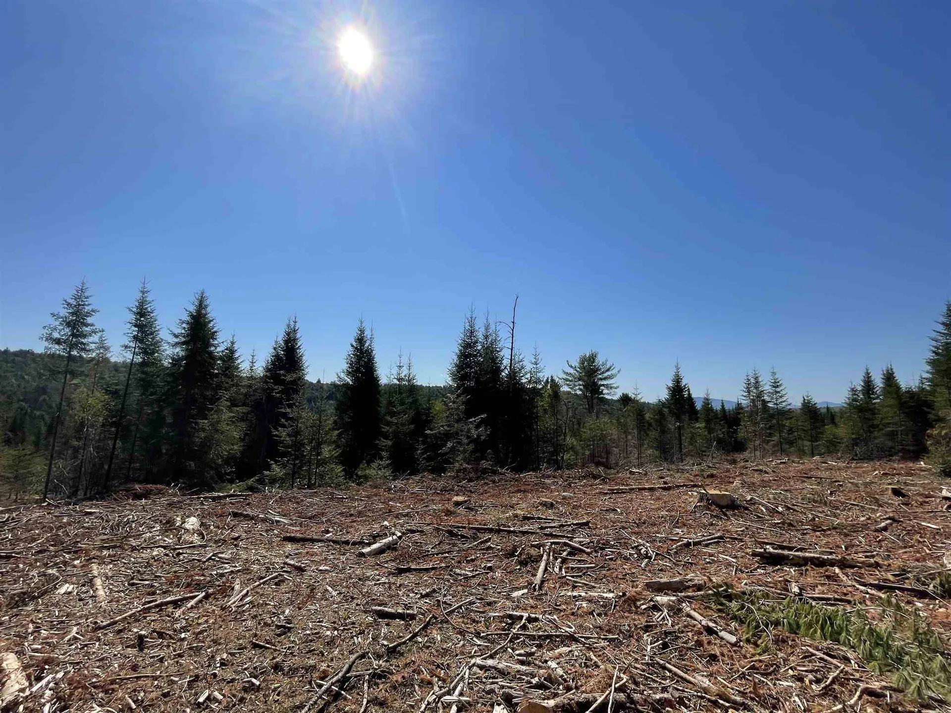 1001 Wallace Hill Road Newbury VT 05081