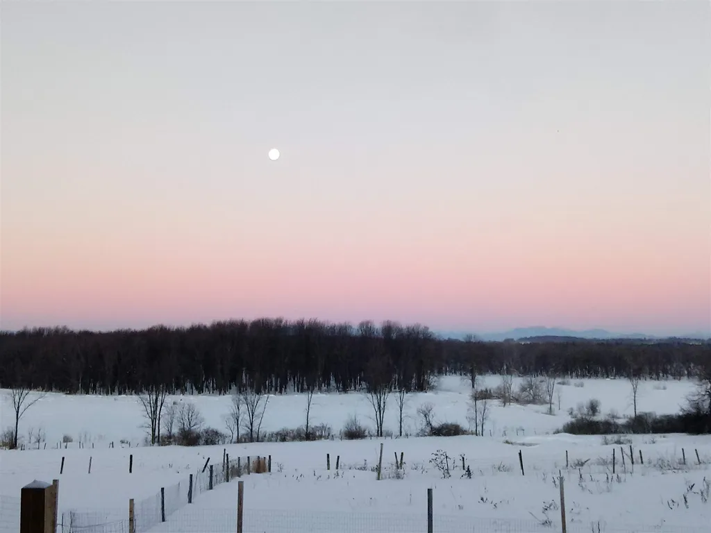 1849 Shard Villa Road Salisbury VT 05769