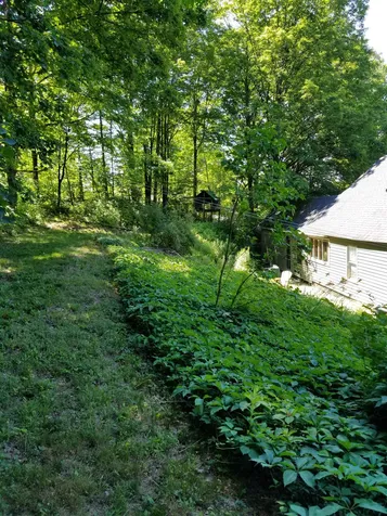 561 Route 63 Westmoreland NH 03467